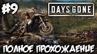 DAYS GONE - полное прохождение #9