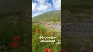 Доброе утро! Добрый день!
