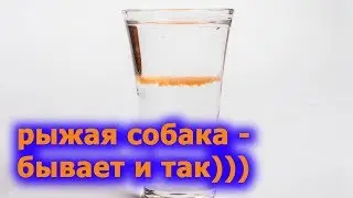 red dog cocktail