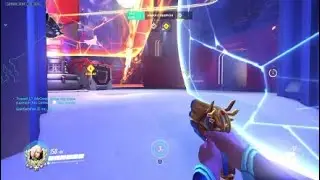 Dva tigers 6k