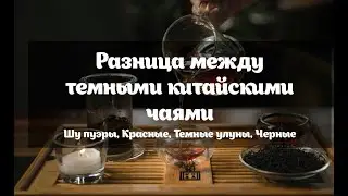 Китайские темные чаи. В чем разница и как их отличать? Шу пуэры, красные, темные улуны и черные.