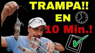 EFECTIVA TRAMPA PARA RATA COMO HACERLA EN 10 MINUTOS