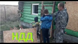 Выгул для куриц. Начали делать вольер. Поставили окно.