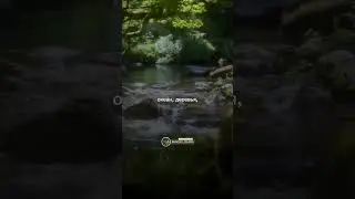 Задумайтесь 