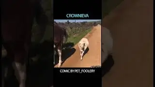 When The Sheepdog Is Afraid of Sheep | Pet_foolery Comic Dub #comicdub #thor