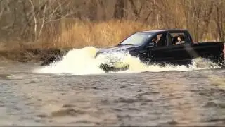 Купить Сангйонг у официального дилера в Москве