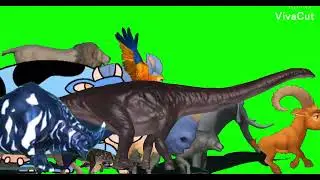 Double Animal Stampede Green Screen