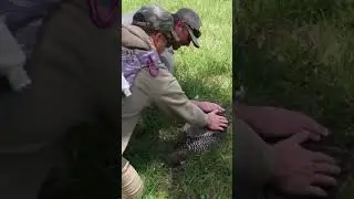 FULL VIDEO on our Channel! 