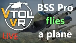 🔴beeswarm pro attempts to fly a plane (vr)