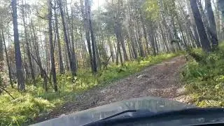 Подъем на черную сопку