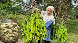 CARA BUAT JERUK PETAI TAHAN LAMA DAN RANGUP DENGAN 2 BAHAN JERR