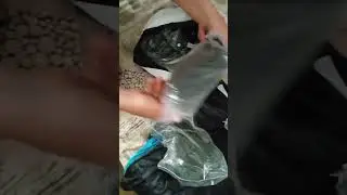 7 июля 2024 г.