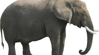 Another 
