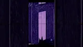 The absolute champion  