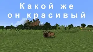 ОБЗОР НА ЕЖИКА