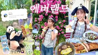 에버랜드에서 돈을 많이 쓰면 생기는 일🎢🐼 [행복했던 산리오 콜라보 마지막 이야기✨] 플랜잇 • 티익스프레스 • 판다월드 • 아마존 • 썬더폴스 • 장미축제 • 가든테라스