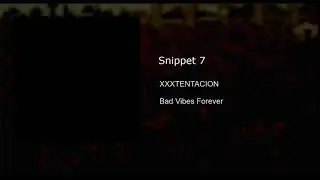 Snippet 7