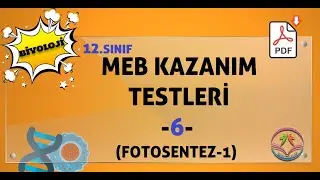 Biyoloji MEB kazanım kavrama testleri 12.sınıf -6 (FOTOSENTEZ -1)