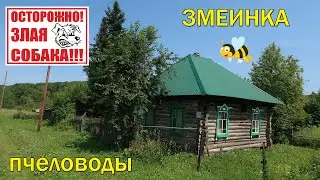 Деревня ЗМЕИНКА. Пакрафт Тунгус. Нападение собак. Пчеловоды.