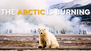 Are We Making it Worse? | Arctic Wildfires