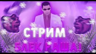 Стрим по Блек Раше. РОЗЫГРЫШ