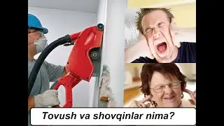 Tovush va shovqinlar nima? Ularni qanday meyoriga keltirish mumkin?
