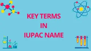 The key terms present in the IUPAC name of organic compounds.