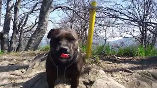 Divoké Historky zo Slovenských Pohorí - UHÁDNI vrch Malej Fatry