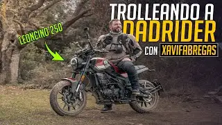 Le tomamos el pelo a 