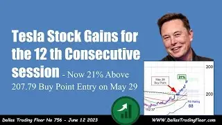 Tesla Stock Gains for the 12 th Consecutive session