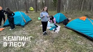 внезапная ночевка лесу