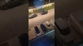 Весна- котики!