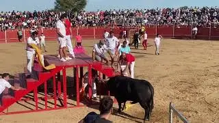 2021-9-29_ Festejo taurino de San Miguel. Rincón de Soto, La Rioja