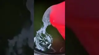 ഫാമിൽ രാവിലത്തെ പണികൾ 🐟🐟🐟