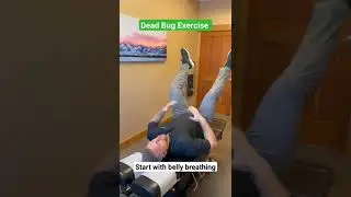 DEAD BUG 🐛 Exercise 