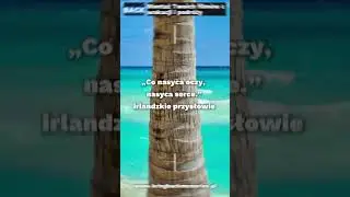 Najlepsze cytaty podróżnicze 5 | Montaż filmów z podróży #shorts #wakacje #podróże
