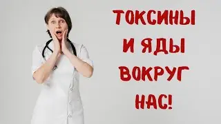 Токсины и яды вокруг нас. Что делать? Доктор Лисенкова