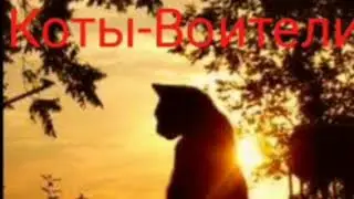 Коты-Воители |Глава 1|