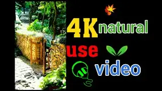 Nature (TV Genre)