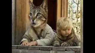 Funny Cats from Photoshop
