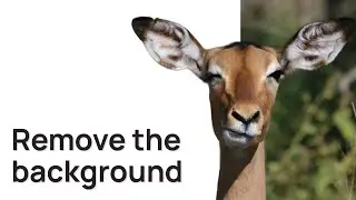 Remove the background from an image in Figma 