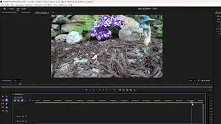 Step by Step Adobe Premiere Pro and Adobe Audition Video Production & Editing Essentials