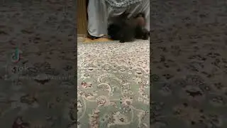 Я тебя зацелую...