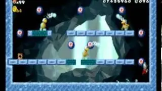 New Super Mario Bros Wii Walkthrough Part 9