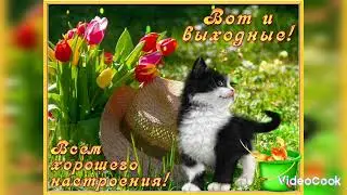 Всем хорошего Настроения!!! Вот и выходные...