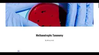 Methanotrophs Website Video