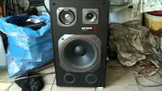 Prawdziwa Moc Tonsila - New Mildton 150 i Box electronics spm-50
