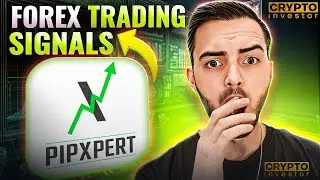 Best Forex Trading Signals 2026: Reliable Forex Signals Honest Review