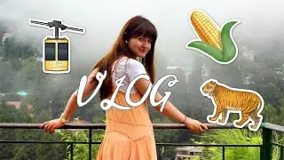 VLOG: TRIP TO NAINITAL, UTTARAKHAND, INDIA | Maria Balaban