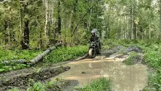 Нашёл лесное урочище / 1 часть 